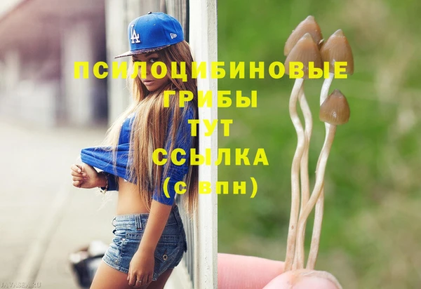 мет Нея