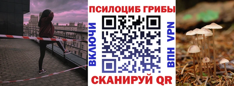 Псилоцибиновые грибы ЛСД  Курлово 